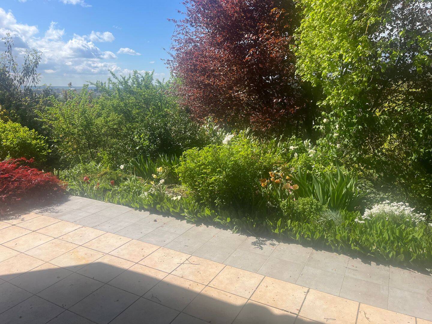 Wunderschöne Dreizimmerwohnung mit großem Garten und Terrasse in Wiesbadener 1A Lage – Wiesbaden – Vorschaubild 5
