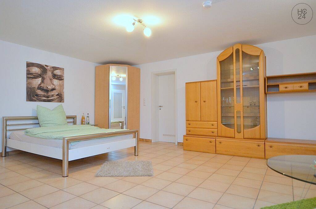 Helles möbliertes 1-Zimmer-Apartment ideal zum Südwestpark