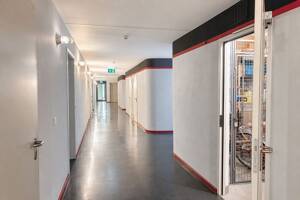 Berlin-Dahlem: Vermietete 3-Zi.-Wohnung mit Süd-Terrasse und Stellplatz im Denkmalensemble – 14195 Berlin – Vorschaubild 7