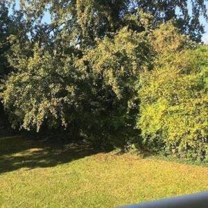 ... wohnen in Horn-Lehe +++ LICHT/GRÜN/RUHE – 28357 Bremen – Vorschaubild 3