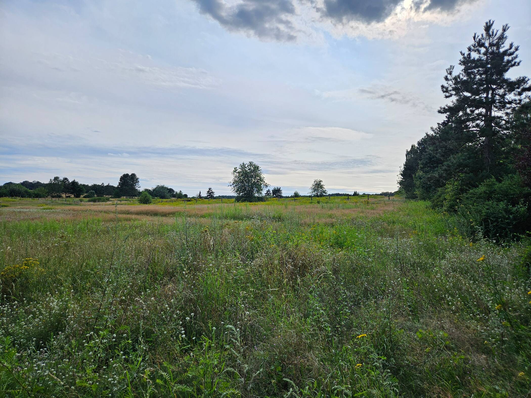 Das Haus für alle Lebensphasen im kommenden Baugebiet in Wettmar. – Burgwedel – Vorschaubild 4