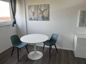 Business-Wohnen - Neu und sehr geschmackvoll möbliertes 1 Zimmer-Appartement im 8. OG mit Aufzug, Außenstellplatz oder TG-Stellplatz optional