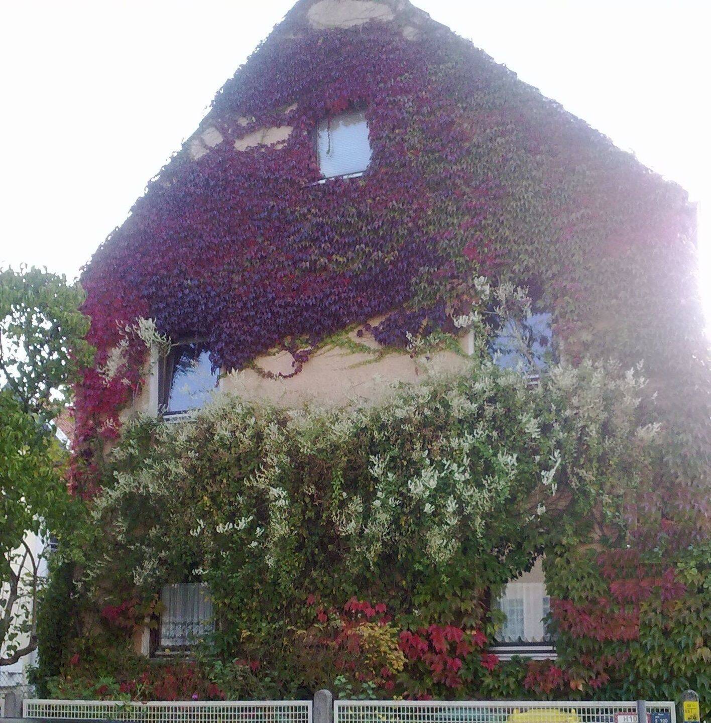 2 Zimmer in einer Hausgemeinschaft – Augsburg – Vorschaubild 3