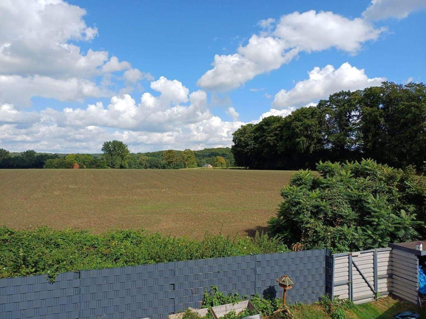 Repräsentatives Architektenhaus für ein oder zwei Familien in Lotte-Büren – Osnabrück – Vorschaubild 6