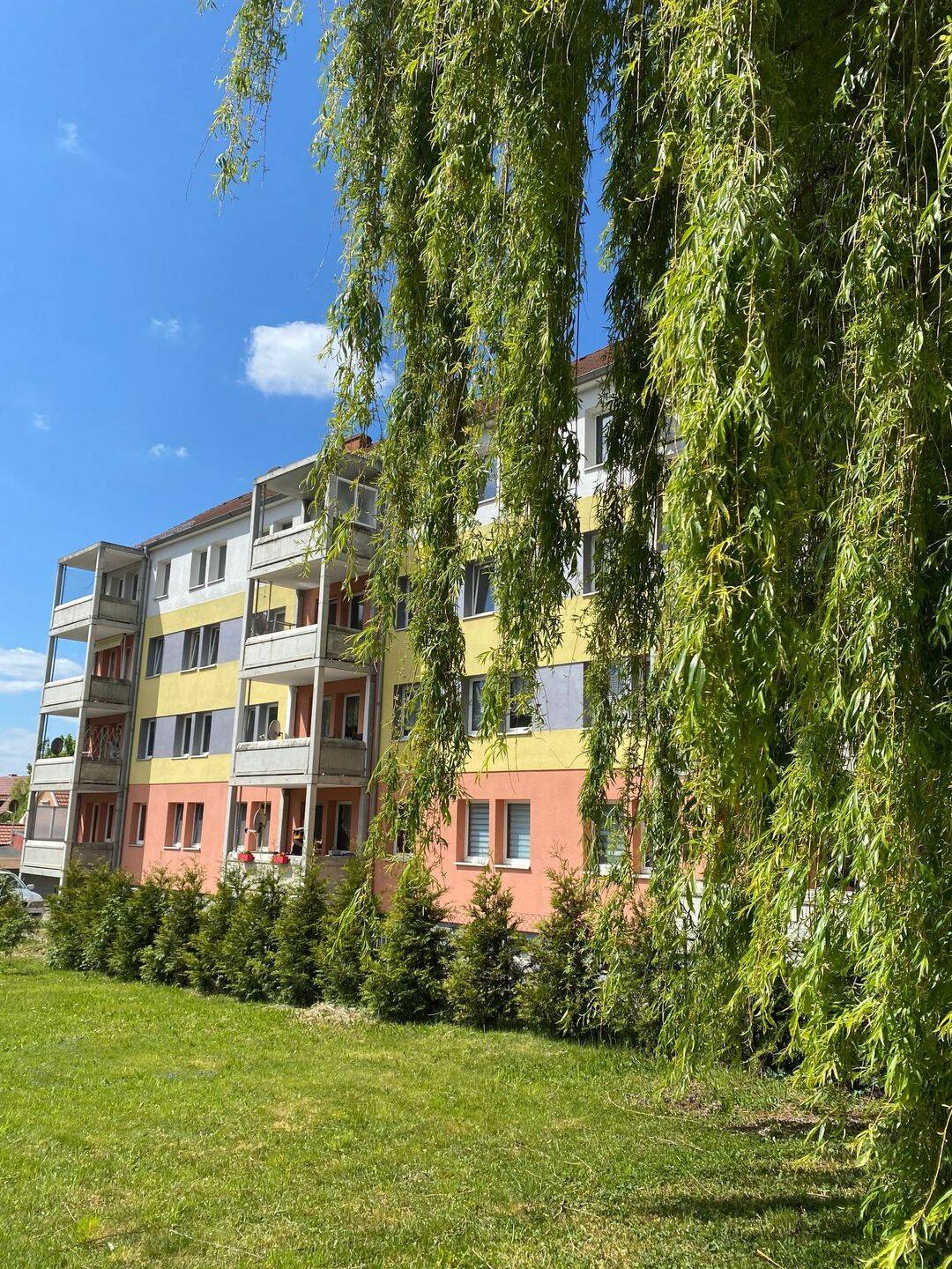Immobilie