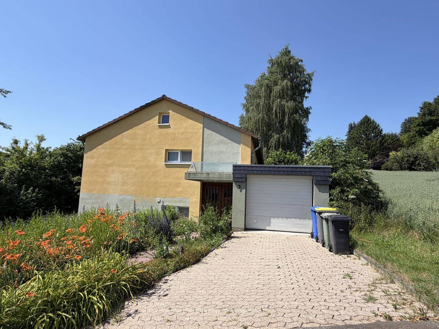 Solides Einfamilienhaus mit großem Grundstück in Ortsrandlage von Warburg-Germete – Warburg – Vorschaubild 2