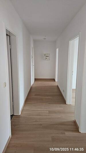 Sonnige, helle 3-Raum-Wohnung mit neuer Einbauküche – 39112 Magdeburg – Vorschaubild 3