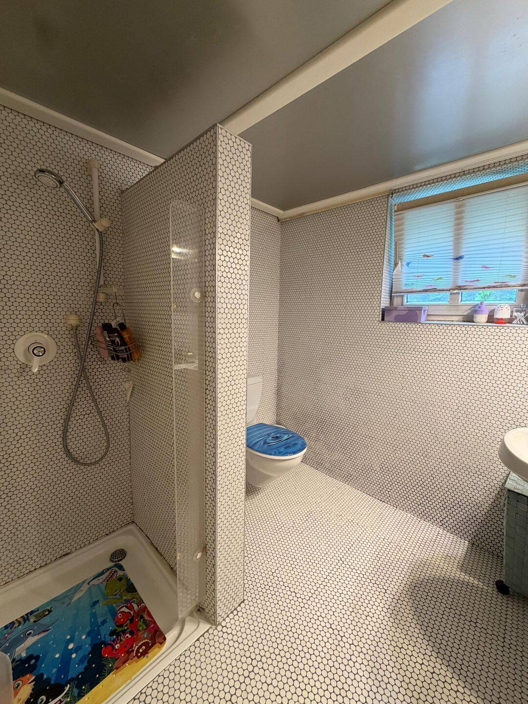 Gepflegte 2-Zimmer-Souterrainwohnung in zentrumsnaher Lage – Erlangen – Vorschaubild 7
