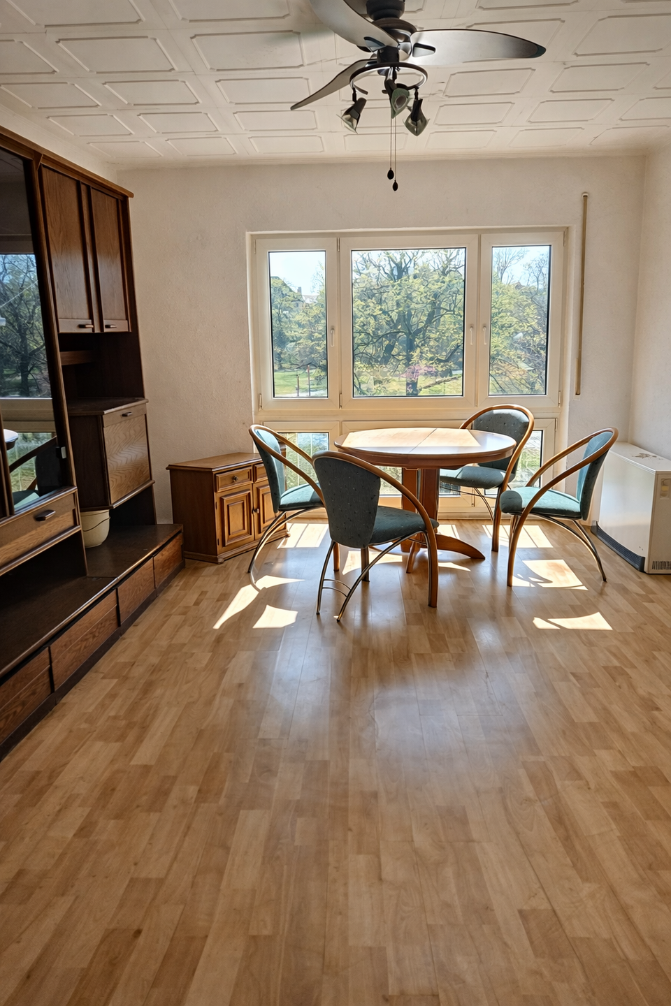 Stadtlage trifft PARKBLICK – Helle Wohnung mit Ausblick in den Park