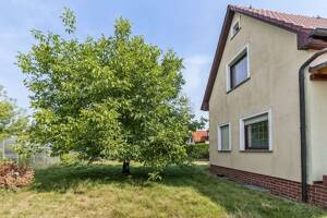Einfamilienhaus mit Gestaltungsspielraum zur Miete - Wohnen nach Ihren Vorstellungen in Lindenthal – 4158 Leipzig – Vorschaubild 4