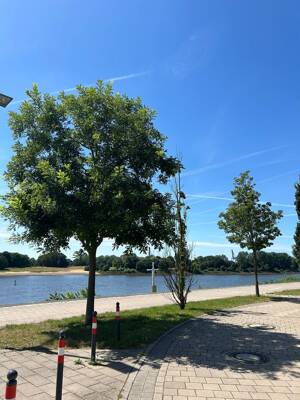 Lichtdurchflutete Wohnung mit Terrasse an der Weser – 28217 Bremen – Vorschaubild 3