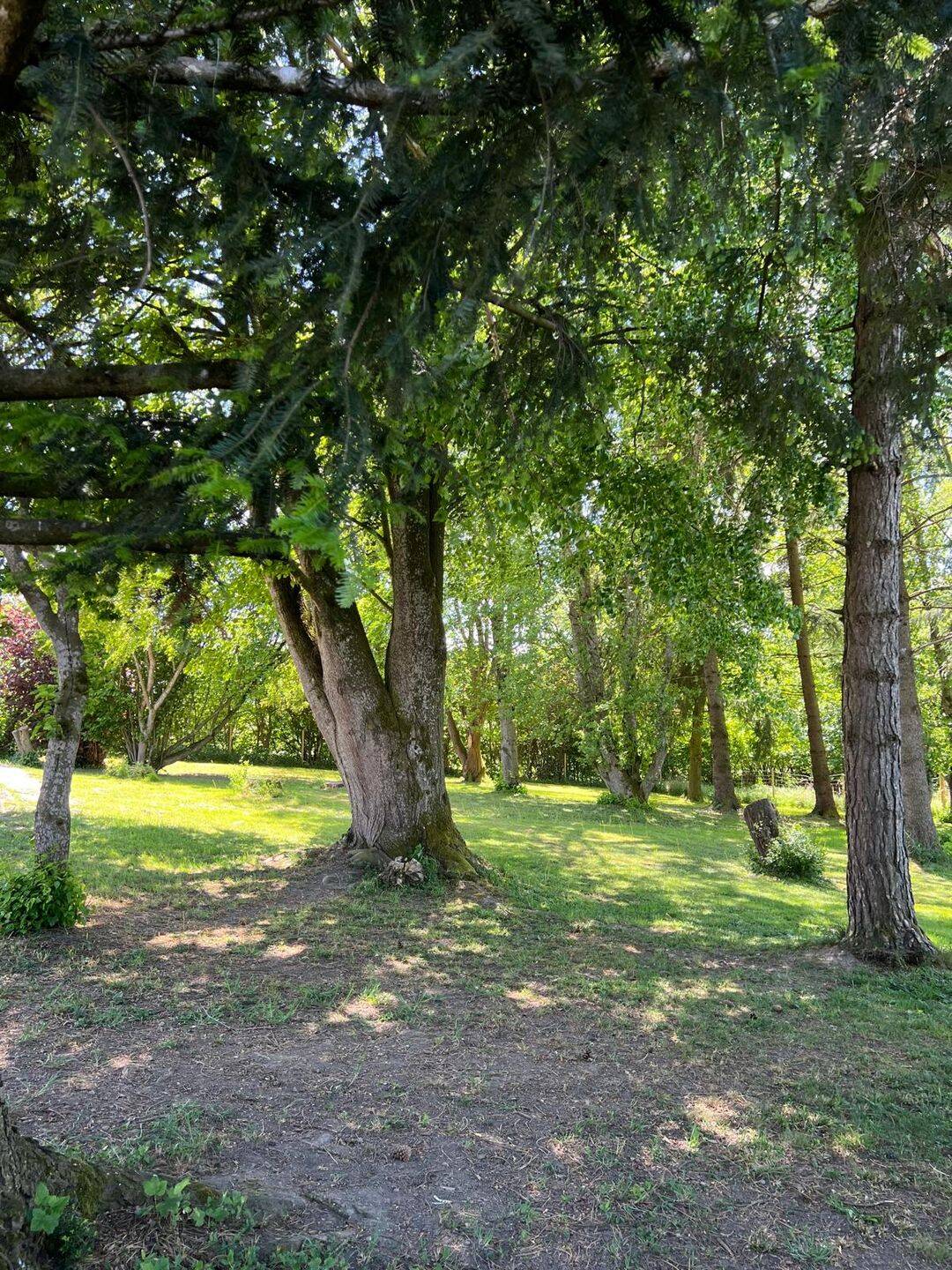 Wohnen und Arbeiten im Grünen in Ruhiger Lage. Großes Grundstück ideal für Naturliebhaber und Tierfreunde im Voralpenland – Emmering – Vorschaubild 5