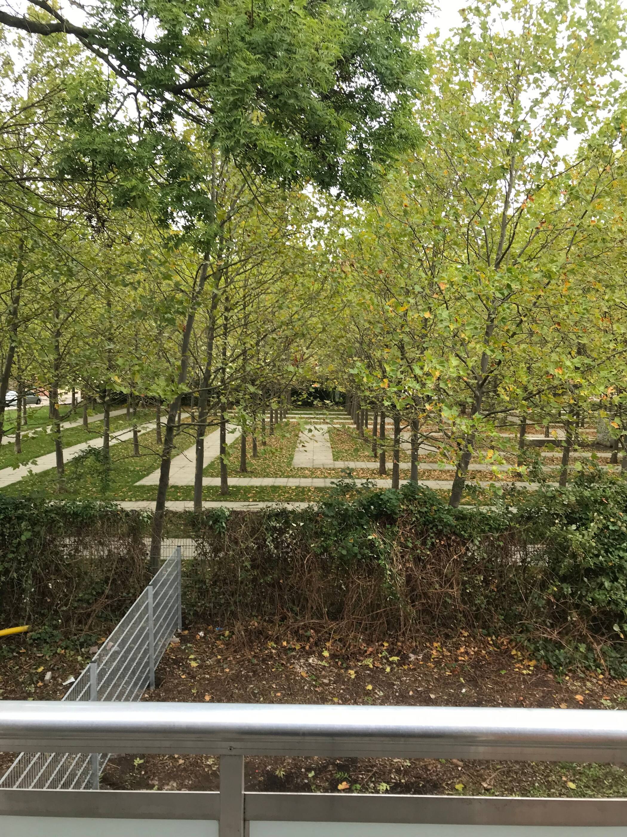 Moderne 2-Zimmer mit offener Wohnküche in ruhiger Lage mit Badewanne & Balkon zum Hof – Magdeburg – Vorschaubild 2