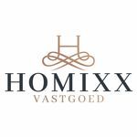 Homixx Vastgoed logo