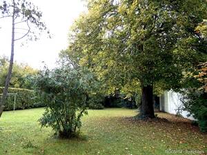 ROOMS4 - familienfreundliche DHH mit Traumgarten Besichtigung 28.08.2026 – 80993 München – Vorschaubild 7