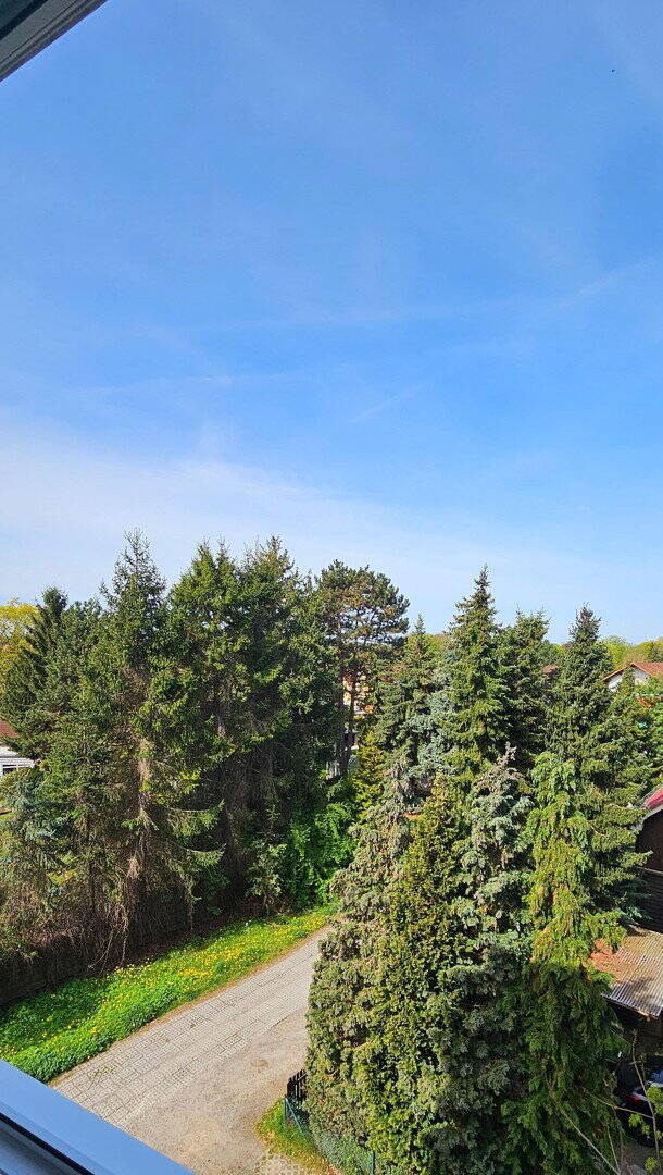 Sonnige und frisch sanierte 2- Zimmerwohnung