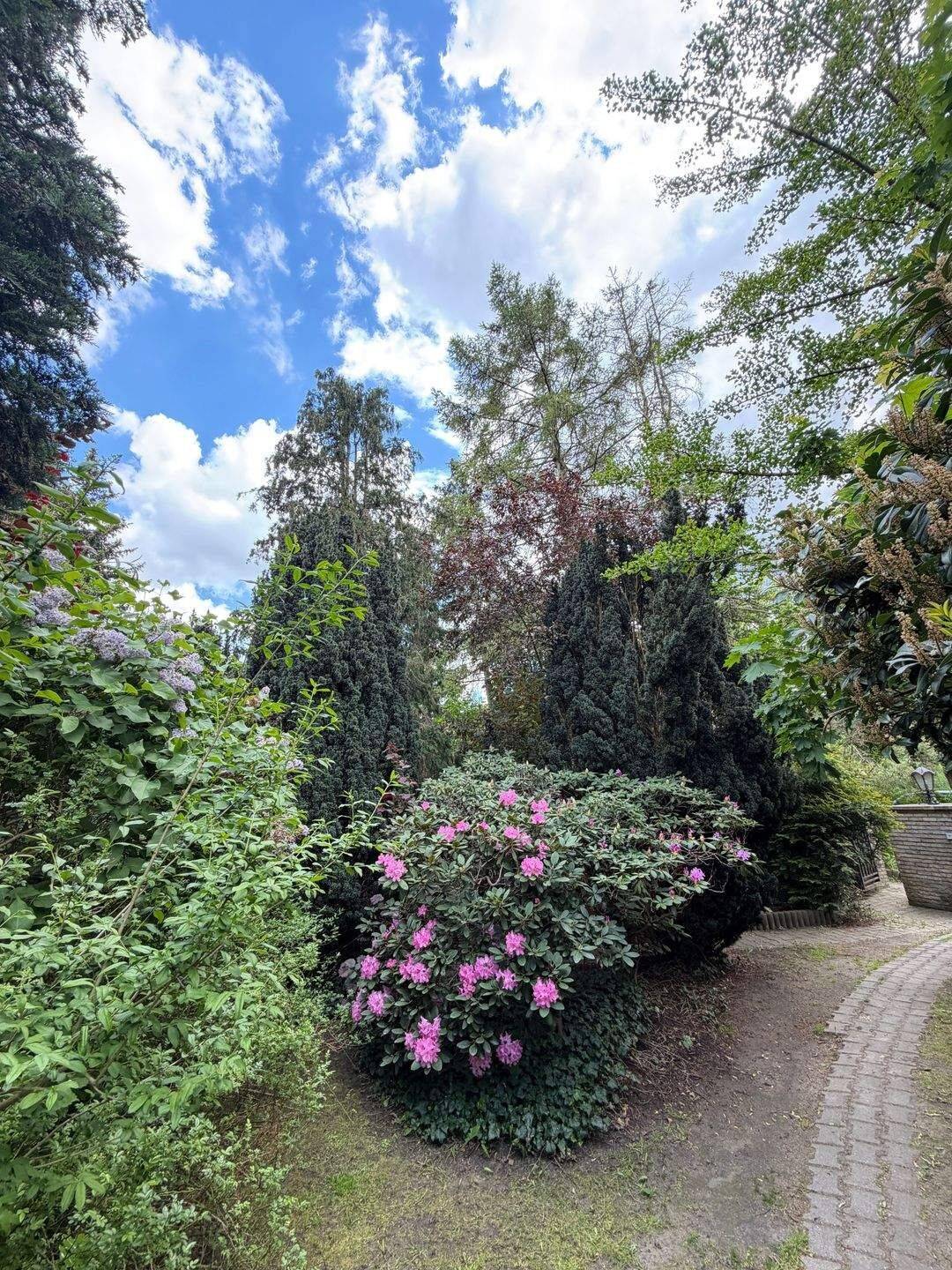 Großzügige Bungalow-Residenz unter 800k: 1.373 m² Parkidyll, Kamin & Wellness in Hoppegarten – Hoppegarten – Bild 1 von 9