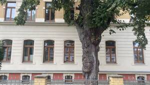 Schöne, bezugsfreie 2 Zimmer-Wohnung in Gohlis mit Parkett – 4157 Leipzig – Vorschaubild 7