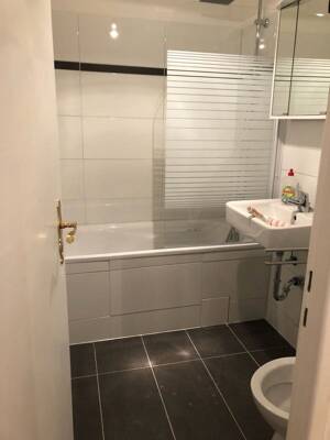 1-Zimmer-Apartment - frisch renoviert mit EBK + Elektrogeräte – 12347 Berlin – Vorschaubild 7