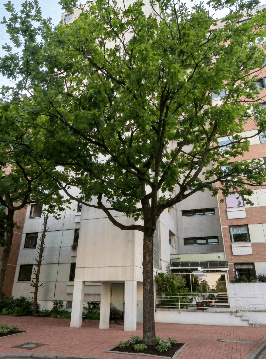 Möblierte Wohnung nahe MHH, ideal für Berufstätige und Studenten