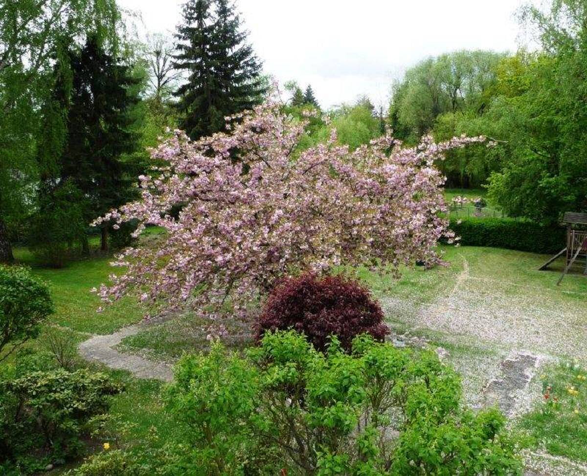 Schöne 2-Zimmerwohnung mit Sonnenterrasse und herrlichem Ausblick in den großen parkähnlichen Garten – 12247 Berlin – Bild 1 von 9