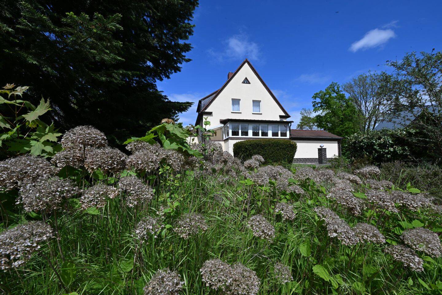 Schönes freistehendes Haus in Leipzig - Althen in ruhiger Lage mit großem Grundstück, frei