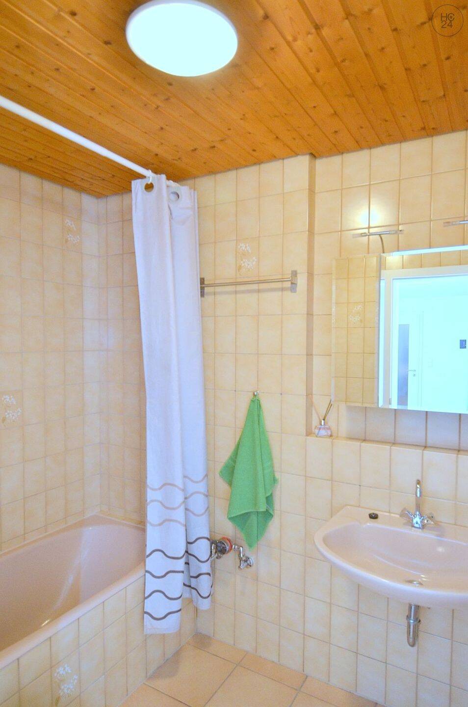 Helles möbliertes 1-Zimmer-Apartment ideal zum Südwestpark – Nürnberg – Vorschaubild 4