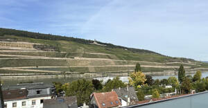 *Nur noch eine Wohnung frei* - Attraktive Eigentumswohnung mit Balkon und Blick auf den Rhein und die Weinberge! – 55411 Bingen am Rhein – Vorschaubild 2