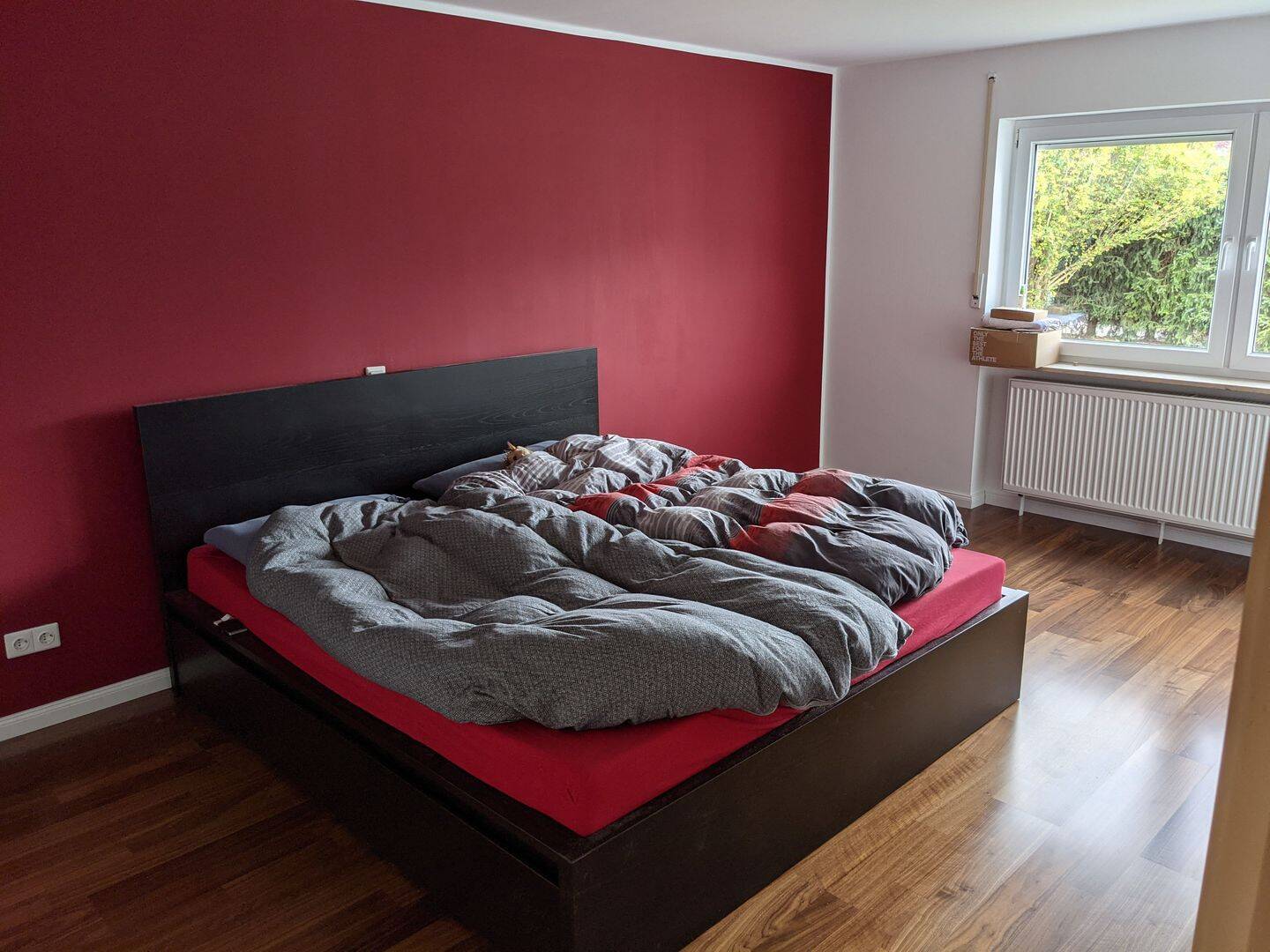 Bungalow mit Garten, hunde- und kinderfreundlich, nahe der Natur – Nürnberg – Vorschaubild 8