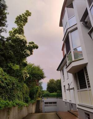 Charmante 3-Zi.- Maisonettewhg, TG-Stellplatz ,Garten, Balkon in grüner Lage von Hamburg Meiendorg – 22145 Hamburg – Vorschaubild 2