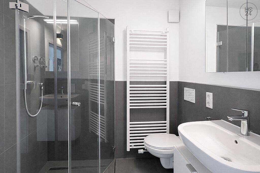 Exklusiv möbliertes 1-Zimmer-Apartment mit WLAN und Balkon in St.-Johannis – Nürnberg – Vorschaubild 4