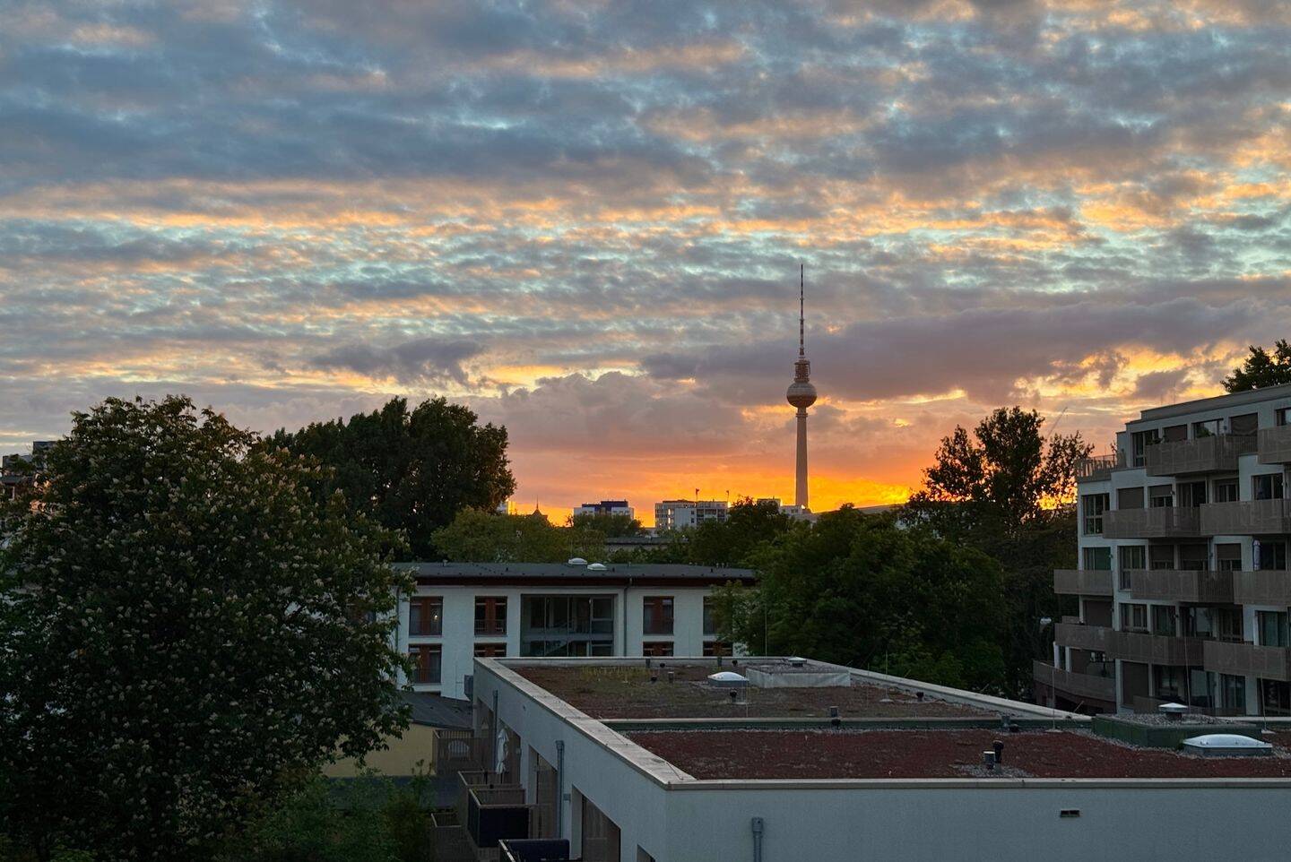 Moderne Wohnung mit Ausblick zum Verlieben! – Berlin – Bild 1 von 9