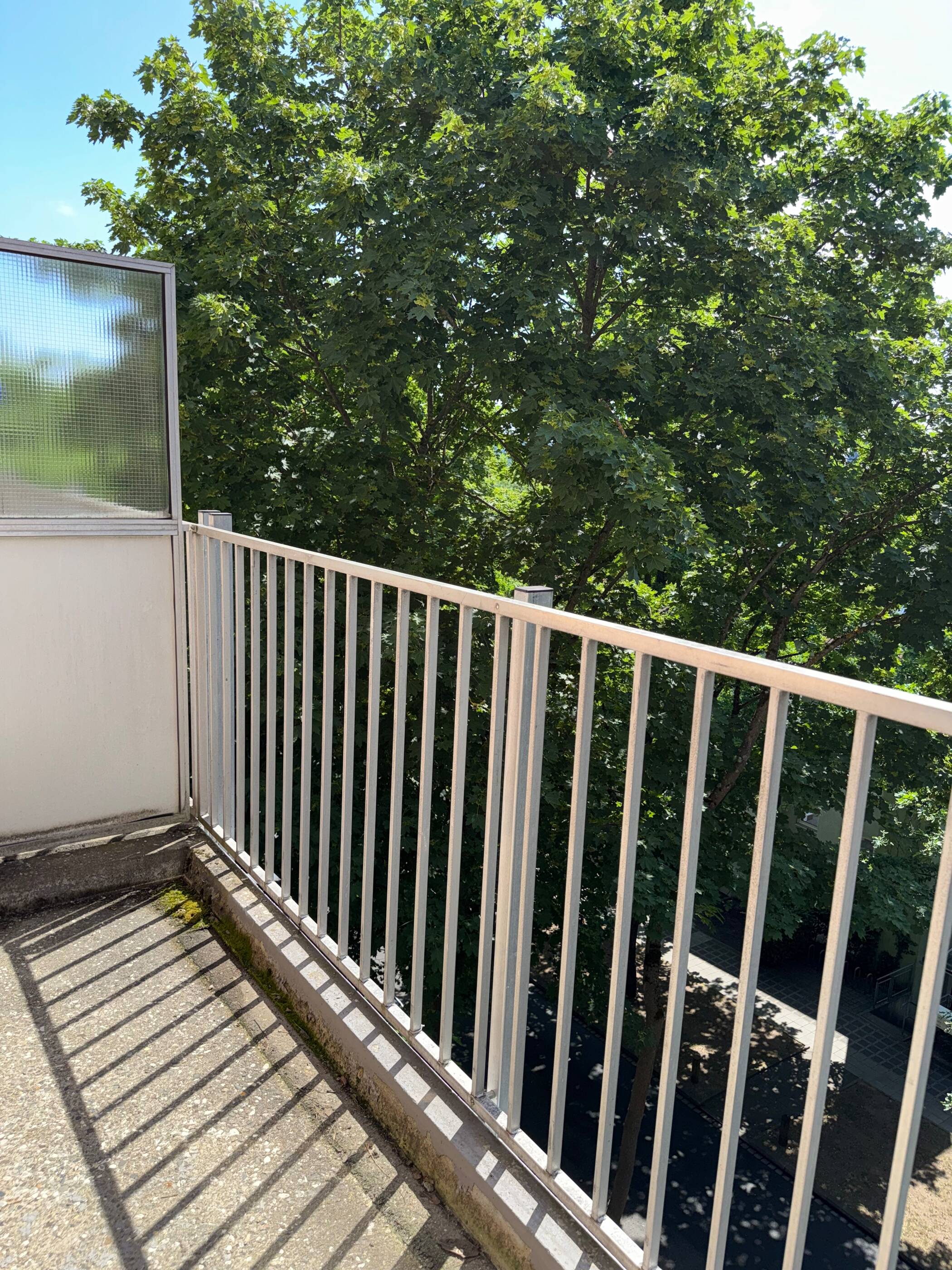 Ruhige Oase an zentraler Lage: 1-Zimmer-Wohnung mit Süd-Balkon & Stellplatz. Sofort verfügbar. – Nürnberg – Vorschaubild 3