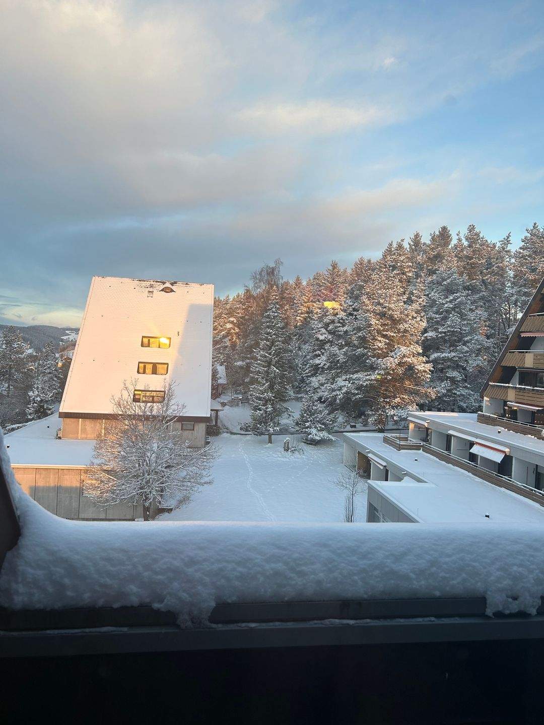 Whg. / Ferien-Whg. _ im Schwarzwald – Mannheim – Vorschaubild 2