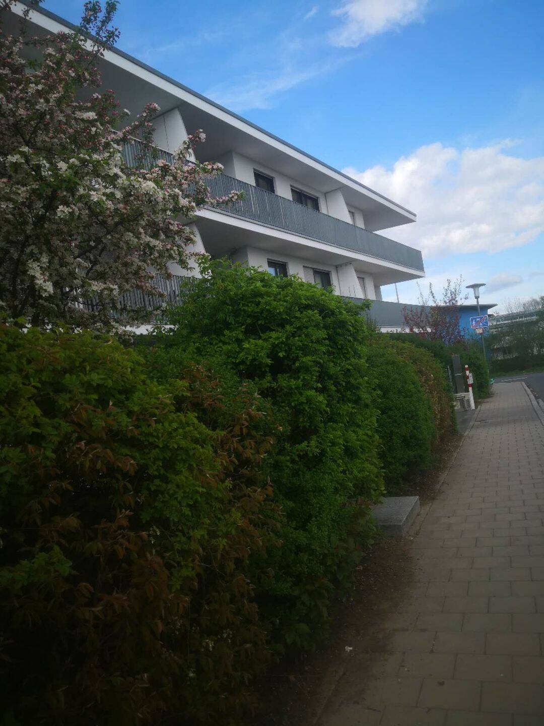 4 Zimmer Wohnung zur Miete