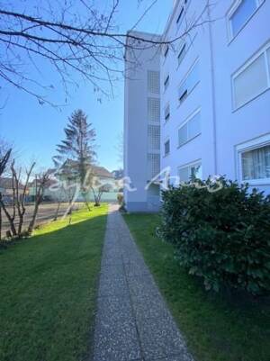 *WANTED* 1 ZKB + 1 Keller + 1 Stellplatz – 68794 Oberhausen-Rheinhausen – Vorschaubild 2