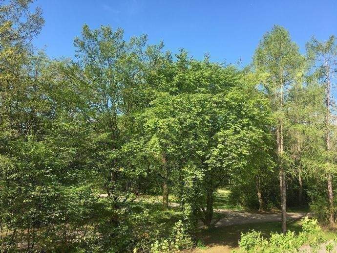 Helle, ruhige 3-Zi-Wohnung im 1.OG mit EBK, 2 Bäder und 2 große Balkone! Direkt am Park! – München – Vorschaubild 8