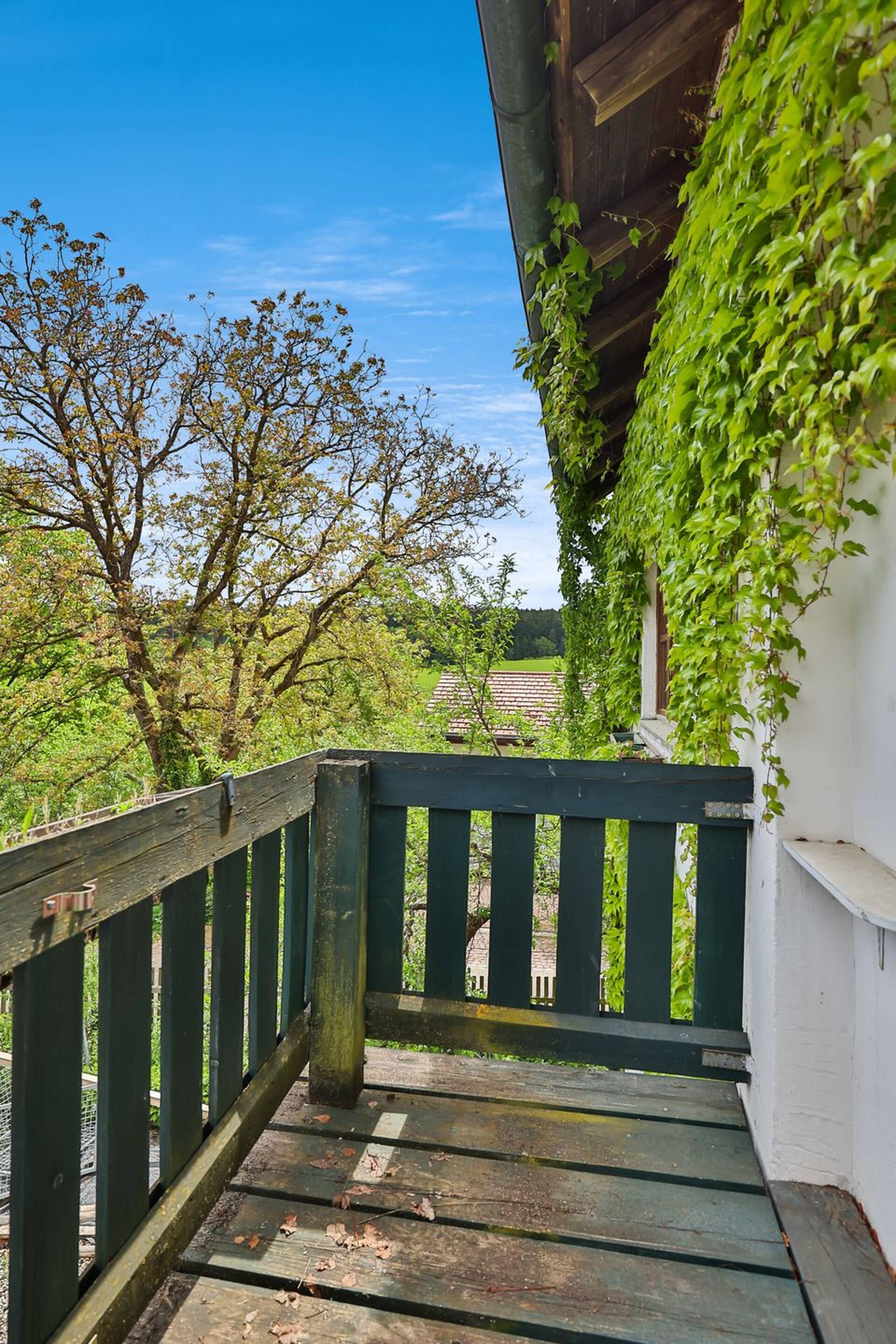 Haus in 85276 Pfaffenhofen an der Ilm mit 288,82 m² kaufen