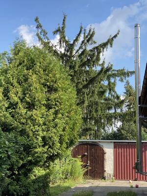 Fast 1.000 m² Gartenparadies bei Berlin – Einfamilienhaus, 4 Garagen – 15366 Neuenhagen bei Berlin – Vorschaubild 3