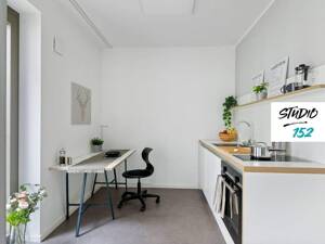 STUDENTS ONLY: Studio 152 - vollmöbliertes 1-Zimmer-Apartment mit EBK, ALL-IN-MIETE, UVM. im Wiesbadener Rheingauviertel – 65197 Wiesbaden – Vorschaubild 3