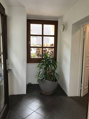 Freistehendes Einfamilienhaus mit Photovoltaikanlage auf sonnigem Grundstück in Berlin-Wittenau – 13403 Berlin – Vorschaubild 6