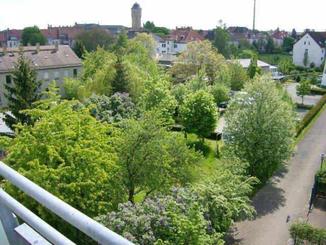 Preis inkl. TG-Stellplatz - hübsche ruhige Single-2-Raum-Wohnung - Blick ins Grüne, Aufzug, barrierefreier Zugang