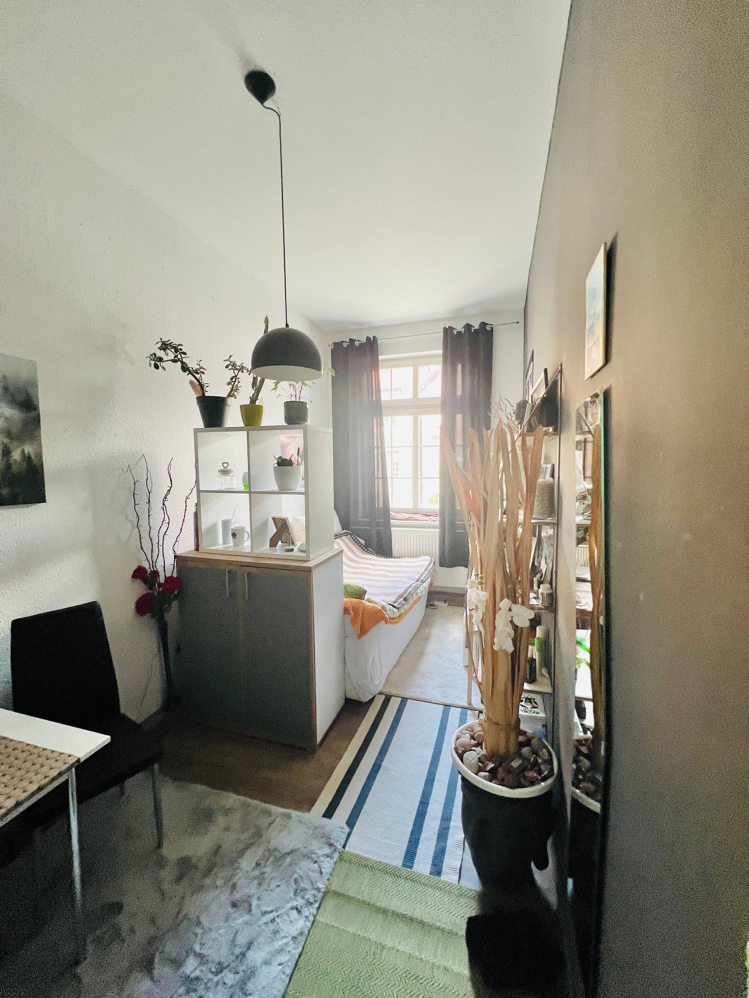 Mehrfamilienhaus - 3 Einheiten - Top Lage - großes Grundstück, Grün, Garagen, Carport, Stellplätze – Hagenow – Vorschaubild 8