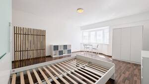 Möbliertes 1-Zimmer-Apartment - Darmstadt Innenstadt Bestlage – 64283 Darmstadt – Vorschaubild 5