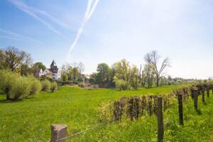 Wittlaer: Neubau-Doppelhaushälfte mit Komfortausstattung in Massivbauweise – 40489 Düsseldorf – Vorschaubild 5