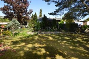 FALANGA IMMOBILIEN - Begehrter Familien-Bungalow in gepflegtem Zustand und top Lage von Mz-Mombach! – 55120 Mainz – Vorschaubild 3