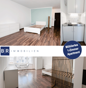 Möbliertes 1-Zimmer-Apartment - Darmstadt Innenstadt Bestlage