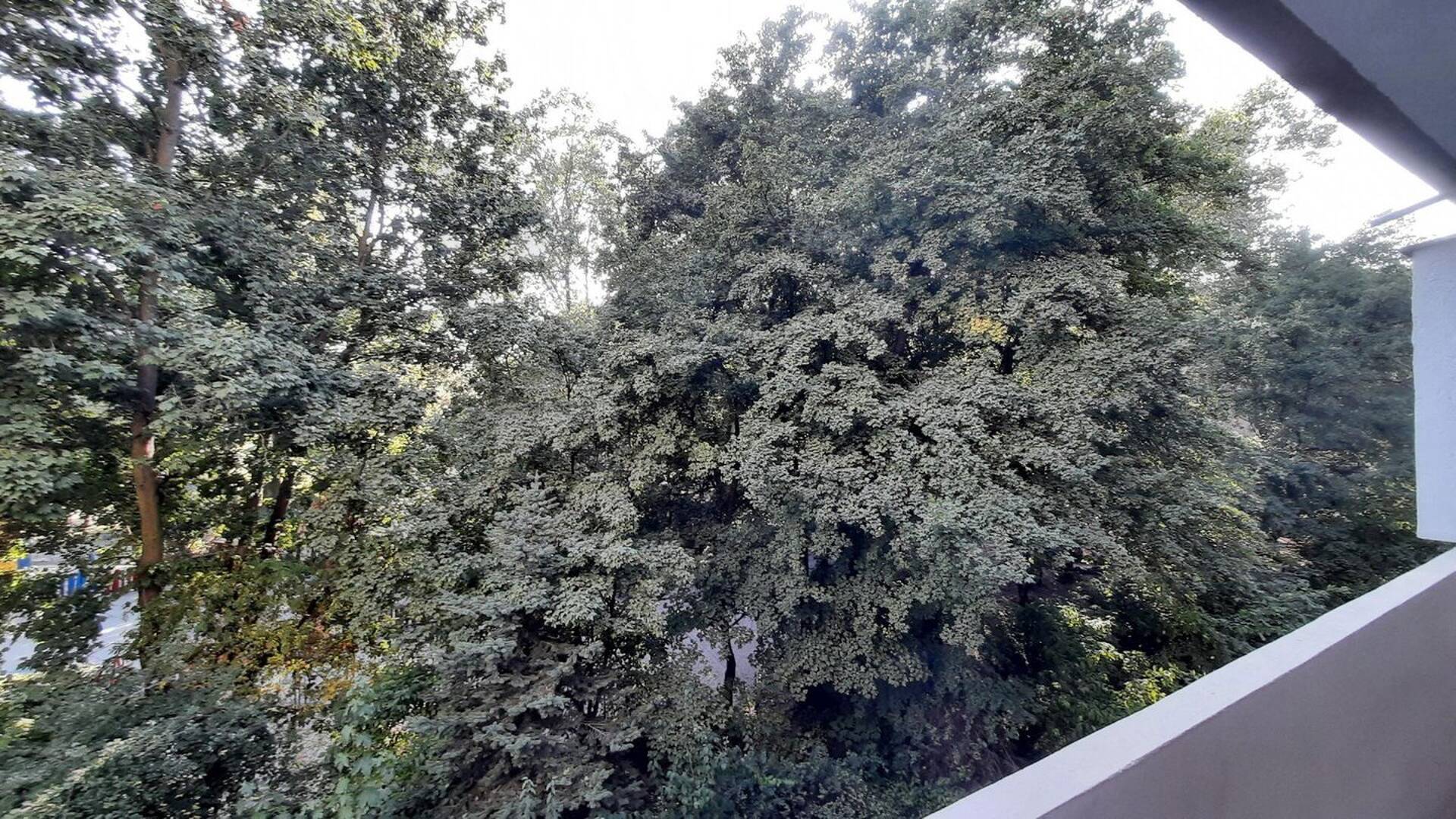 Etagenwohnung in 55118 Mainz mit 37 m² kaufen
