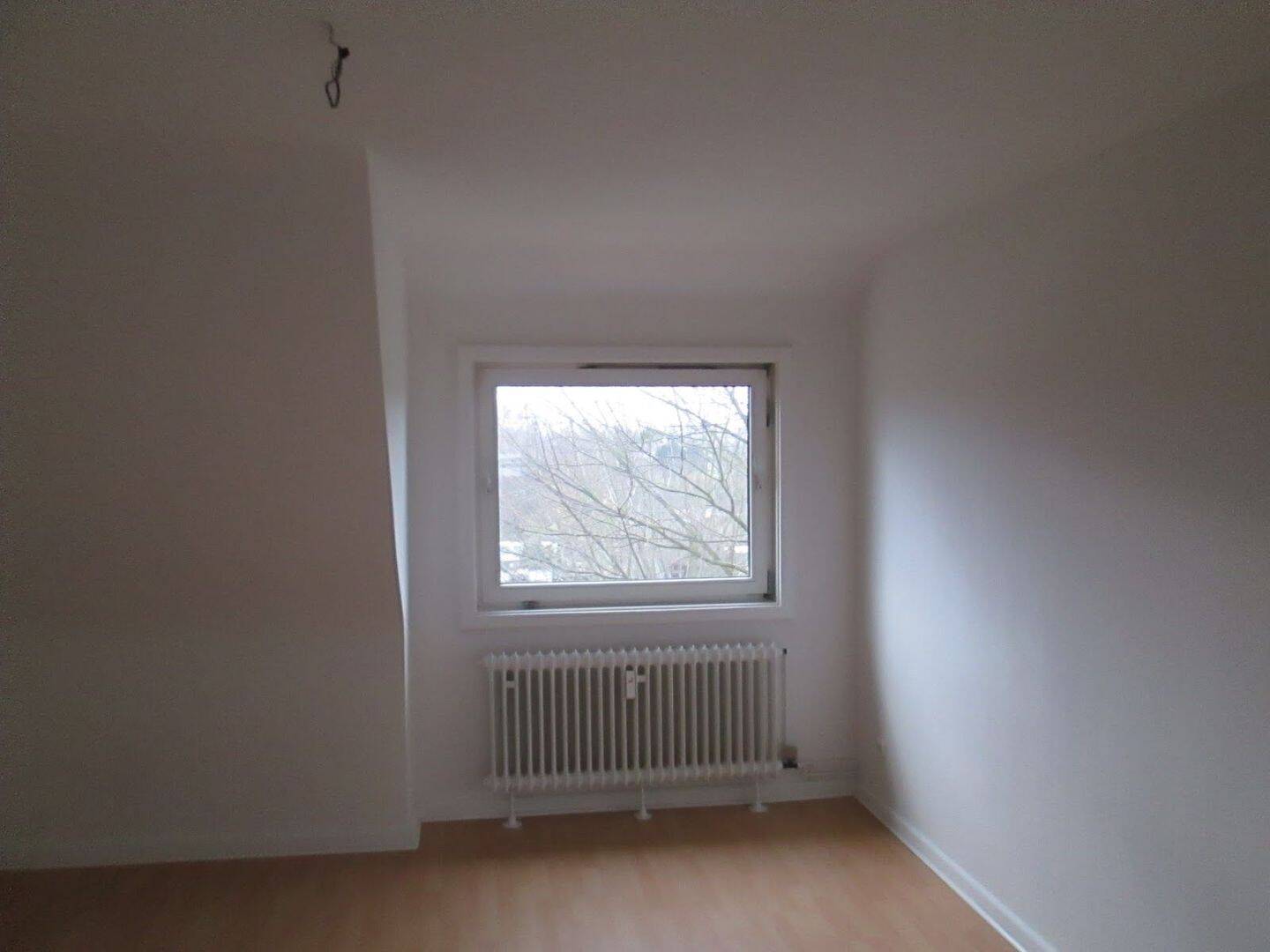 Blick ins Grüne – Salzgitter – Vorschaubild 3