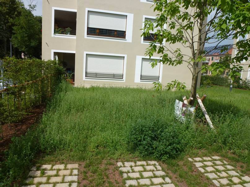 3-Zi.-Terrassenwohnung mit Garten Toplage Zellerau – Würzburg – Vorschaubild 5